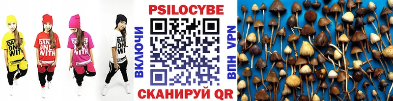 Галлюциногенные грибы Psilocybine cubensis  дарнет шоп  Раменское 
