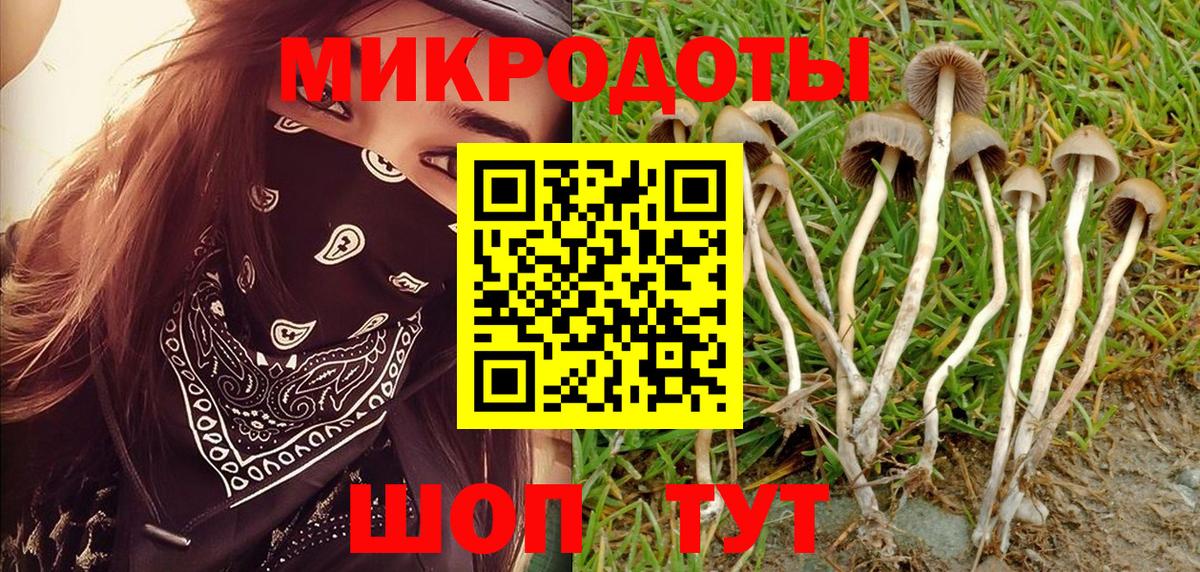 Псилоцибиновые грибы ЛСД Раменское