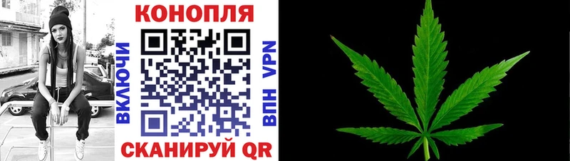 где купить наркоту  blacksprut ТОР  Бошки Шишки SATIVA & INDICA  Раменское 